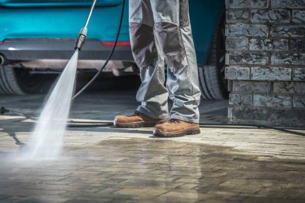 Best Soft Washing  in Asotin, WA
